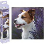Alltoys Canenco Malování pomocí kamínků Diamond pejsek 30x30 cm – Hledejceny.cz