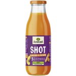 Alnatura Kurkuma shot 250 ml – Sleviste.cz