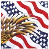 Šátek Šátek bandana Fosco USA Flag Eagle