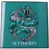 Nemesis Now Obraz Harry Potter - Slytherin Crystal Clear Art Pictures (Nemesis Now)