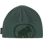 Mammut Tweak beanie Zelená – Hledejceny.cz