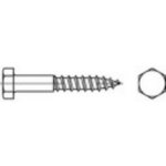 TOOLCRAFT 109142 šestihranný šroub 10 mm 100 mm vnější šestihran DIN 571 ocel 100 ks – Hledejceny.cz