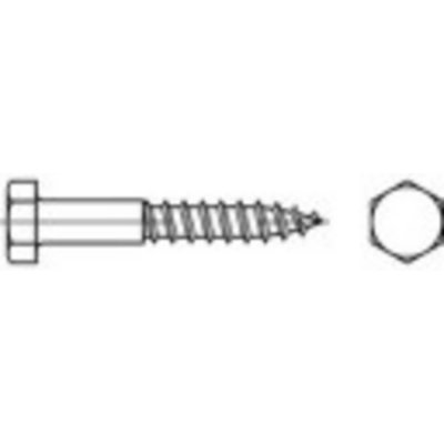 TOOLCRAFT 109142 šestihranný šroub 10 mm 100 mm vnější šestihran DIN 571 ocel 100 ks – Hledejceny.cz