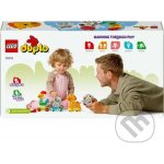 LEGO® DUPLO 10412 Vláček se zvířátky – Zboží Mobilmania