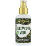 Purity Vision Bio Borovicová voda 100 ml – Hledejceny.cz