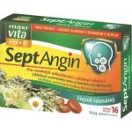 MaxiVita SeptAngin lišejník islandský 16 pastilek – Hledejceny.cz