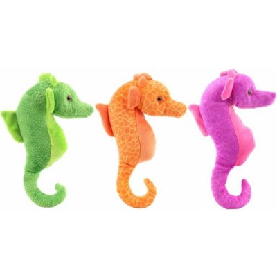 Mořský koník – Sleviste.cz