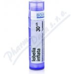 LOBELIA INFLATA POR 30CH GRA 1X4G – Hledejceny.cz