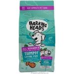 Barking Heads All Hounder Tummy Lovin' Care Fish 12 kg – Hledejceny.cz