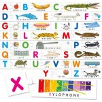 HEADU Moje první abeceda – Zboží Dáma