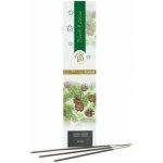 Boles D´olor Tyčinky vonné Black Edition Forest 20 ks – Hledejceny.cz