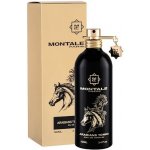 Montale Paris Arabians Tonka parfémovaná voda unisex 100 ml – Hledejceny.cz