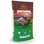 Energys Nosnice Gold 25 kg – Sleviste.cz