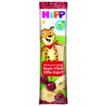 HiPP BIO Oplatka Banán-Višeň-Jogurt 23 g – Zboží Dáma