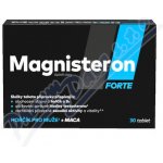Magnisteron Forte 30 tablet – Hledejceny.cz