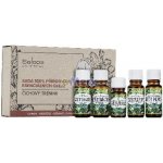 Saloos sada esenciálních olejů Čichový trénink 1 x ml + 4 x 10 ml – Zboží Dáma Saloos sada esenciálních olejů Čichový trénink 1 x ml + 4 x 10 ml – Zboží Dáma