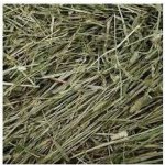 Ham-Stake Timothy Hay Seno z bojínku lučního 1 kg – Zboží Mobilmania