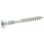 Vrut Rapi-Tec UniPlus, 4x20mm, T20, bílý zinek, 1 ks – Hledejceny.cz