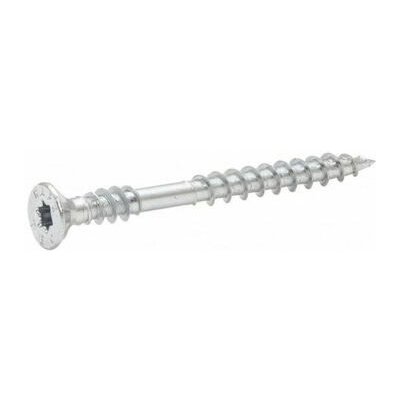 Vrut Rapi-Tec UniPlus, 4x20mm, T20, bílý zinek, 1 ks – Hledejceny.cz