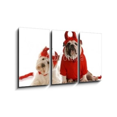 Obraz 3D třídílný - 90 x 50 cm - two devils - bulldog and west highland white terrier dva ďábli – Hledejceny.cz