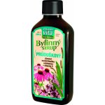 MaxiVita Průduškový bylinný sirup 260 g – Hledejceny.cz