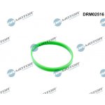 DRM02516 DR.MOTOR AUTOMOTIVE Těsnění, koleno sacího potrubí – Sleviste.cz