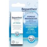 Bepanthen Derma krém na rty 7.5 ml – Zboží Dáma
