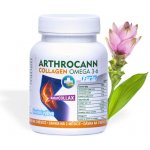 Annabis Arthrocann Collagen Omega 3-6 Forte 60 tablet – Hledejceny.cz