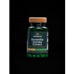 Swanson 5-Loxin Boswellia Serrata Extract 60 kapslí – Hledejceny.cz