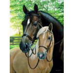 Norimpex Diamantové malování Koně 30 x 40 cm – Zboží Mobilmania