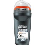 L'Oréal Paris Men Expert Magnesium Defense roll-on 50 ml – Zbozi.Blesk.cz