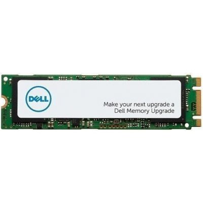 Dell 1TB SSD M.2 PCIe NVME Class 40 2280, AA615520 – Zboží Mobilmania