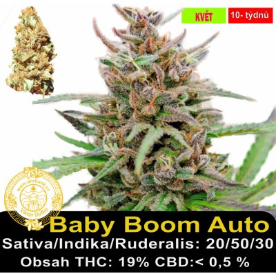 Kannabia Baby Boom Auto semena neobsahují THC 1 ks – Sleviste.cz