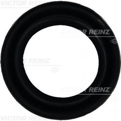 VICTOR REINZ VR 71-25866-10 – Hledejceny.cz