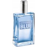 Avon Individual Blue toaletní voda pánská 100 ml – Hledejceny.cz