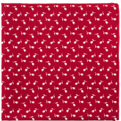 Avantgard Kapesníček do saka Lux 583-51045 – Sleviste.cz