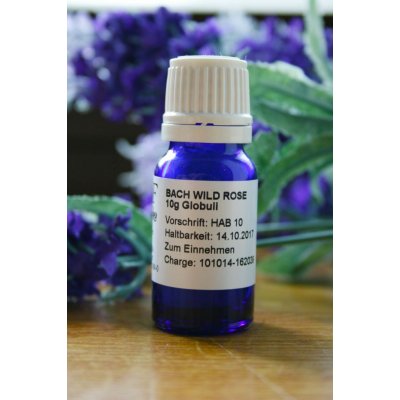 Bachovy květové esence Wild Rose Globuli 10 g – Hledejceny.cz