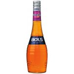 Bols Maracuja Passion Fruit 17% 0,7 l (holá láhev) – Zboží Mobilmania