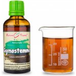 Bylinné kapky Gynostema gynostemma jiaogulan TCM bylinné kapky tinktura 50 ml – Hledejceny.cz