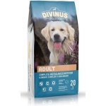Divinus Adult Dospělý 20 kg – Hledejceny.cz