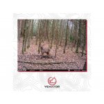 Venator BST880 – Sleviste.cz