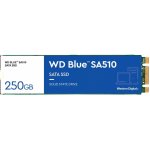WD Blue SA510 250GB, WDS250G3B0B – Zboží Živě