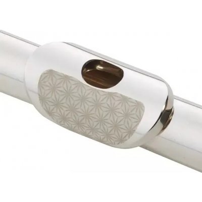 Yamaha Lip Plate Patch jednotlivě – Hledejceny.cz