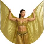 Křídla na břišní tanec/pro Kleopatru zlatá 285 x 135 cm – Hledejceny.cz