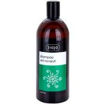 Ziaja Family Shampoo proti lupům Nettle 500 ml – Zbozi.Blesk.cz