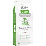 Brit Care Grain Free Adult Large Breed Salmon & Potato 12 kg – Hledejceny.cz