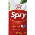 SPRY Žvýkačky s Xylitolem Skořice 10ks – Zboží Dáma