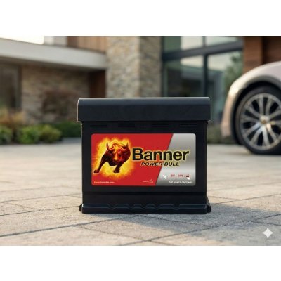 Banner Power Bull 12V 50Ah 450A P50 03 – Hledejceny.cz