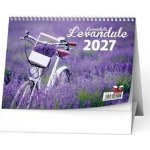Stolní Levandule 2027 – Zbozi.Blesk.cz