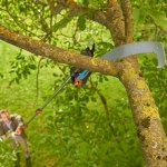 GARDENA Nůžky na větve StarCut Pro L - sada s pilkou 12082-20 – Hledejceny.cz